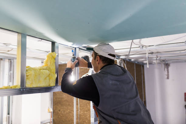 Best Insulation for Specific Applications in Clemson University, SC