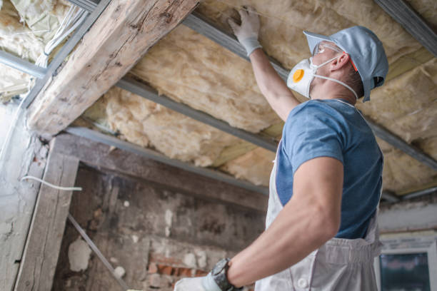 Best Insulation Installation Services in Clemson University, SC