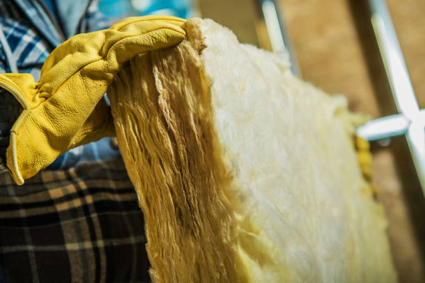 Best Insulation for Specific Applications in Clemson University, SC